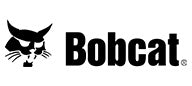 Bobcat