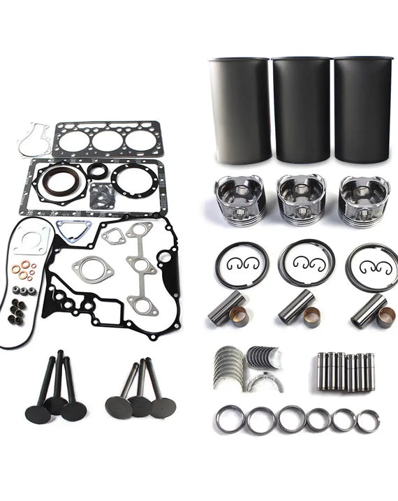 Kit de reconstruction de révision pour moteur Kubota D902 D902EBH KX41-3, pelle BX24 BX25, tracteurs
