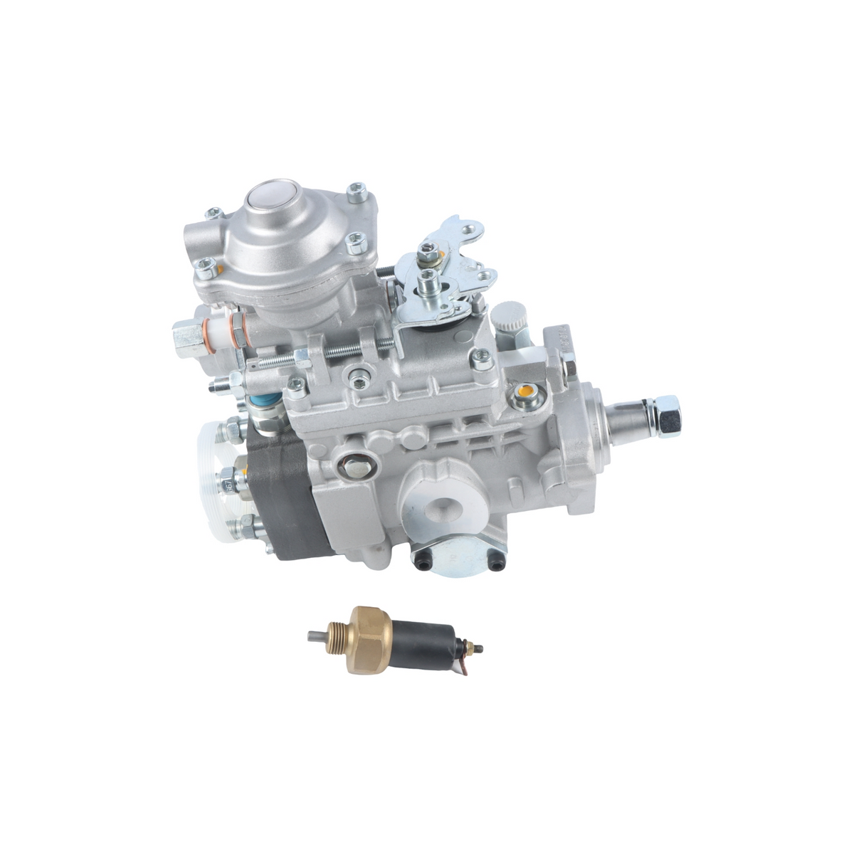 Fuel Injection Pump 0460424489 504385659 for Case New Holland 75C Engine