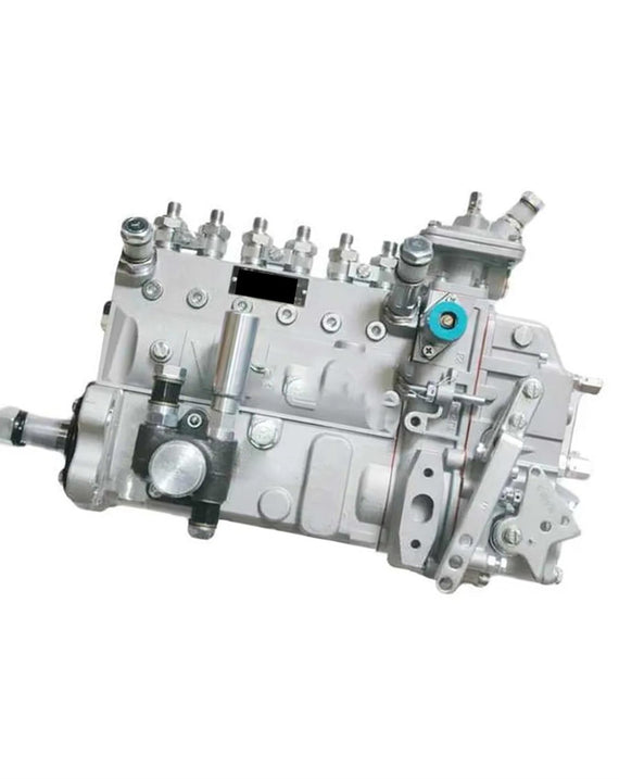 Fuel Injection Pump 13053063 13030186 BH6AD100R for Weichai Deutz TD226B-6