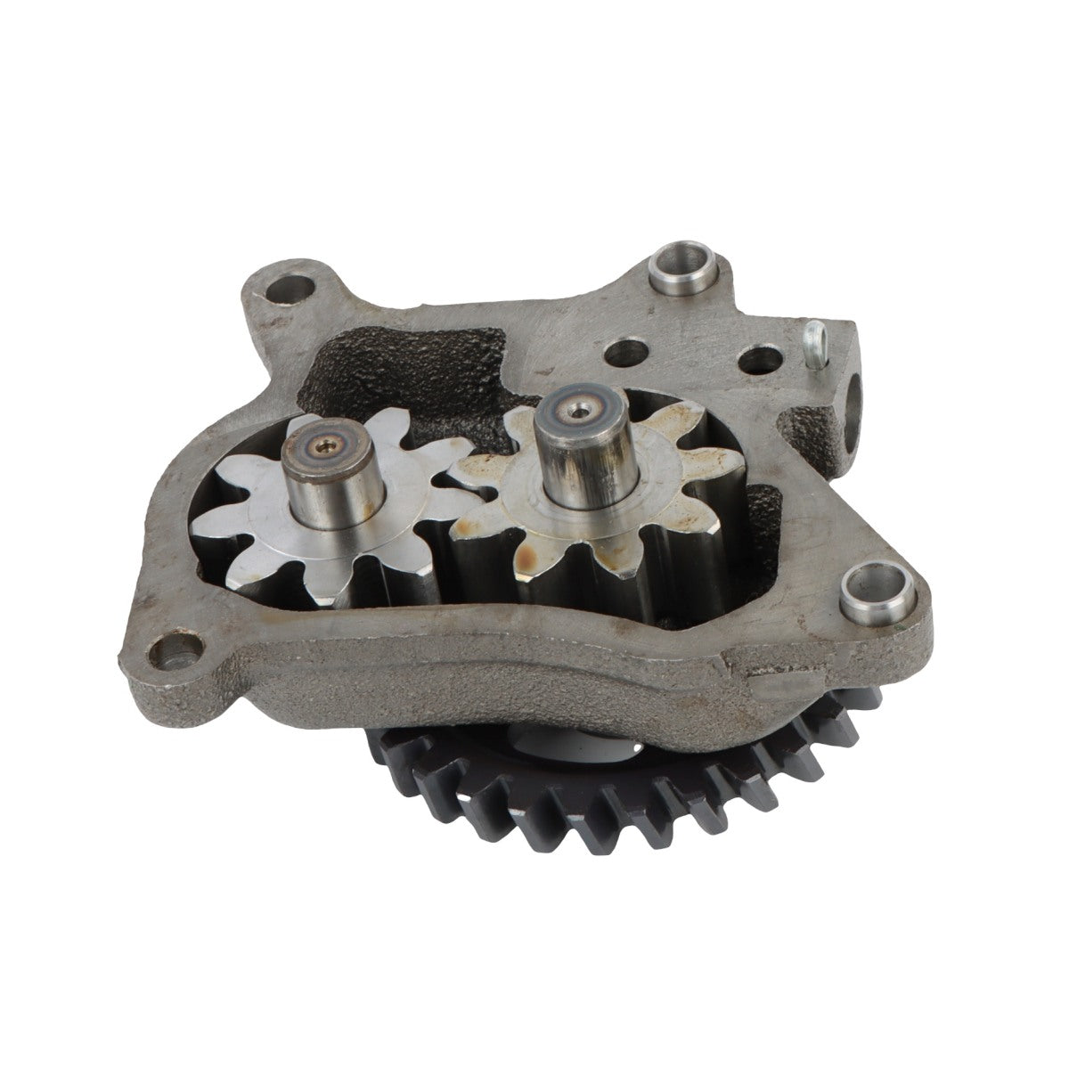 Oil Pump for Isuzu - Sinocmp